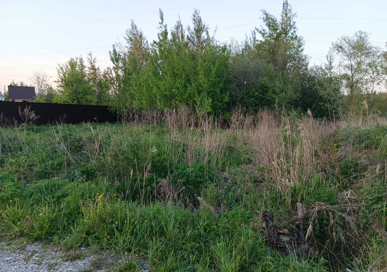 земля городской округ Богородский г Ногинск снт тер.Березка(Клюшниково) 42 км, 3-я линия, Горьковское шоссе фото 4