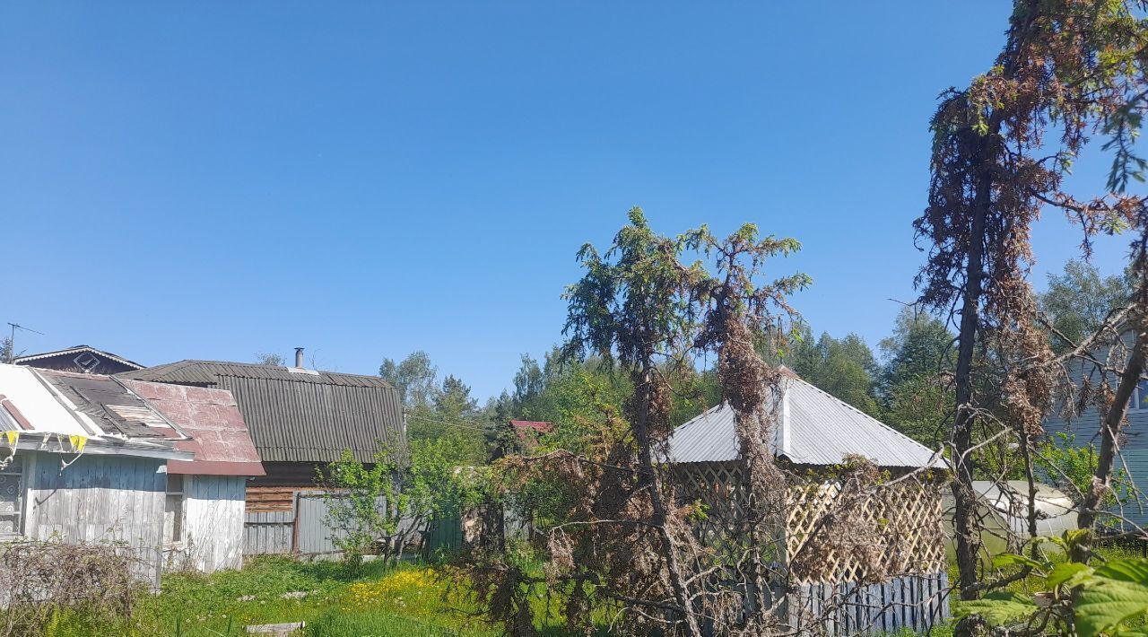 земля г Электрогорск снт Зеленый Павлово-Посадский городской округ фото 4