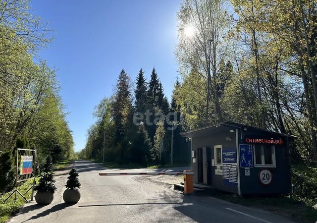 земля днп Лесной ул Лесная Клин, Ленинградское шоссе, 65 км, г. о. Клин фото