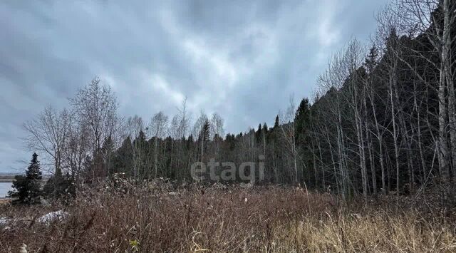 ул Набережная фото