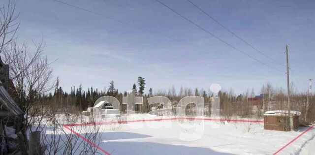 снт Разведчик СОТ, Излучинск городское поселение фото