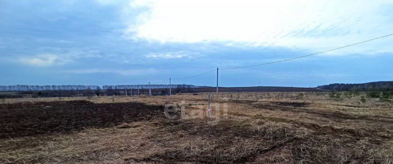 земля р-н Бирский г Бирск ул Васильковая фото 4