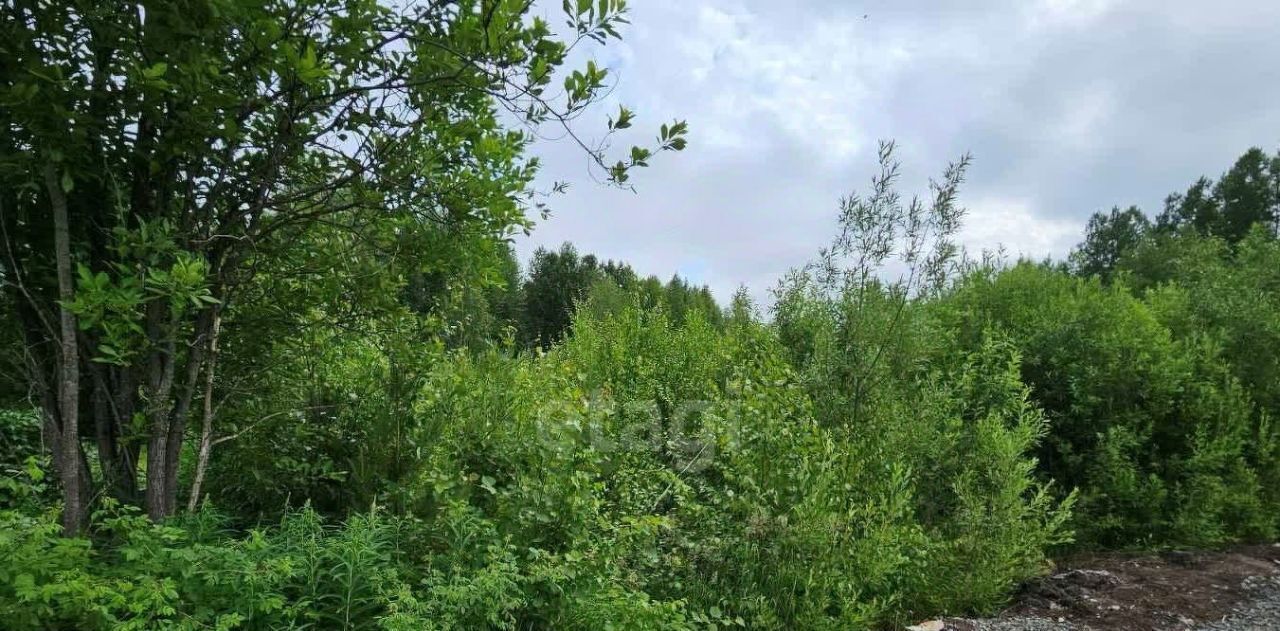 земля г Ханты-Мансийск снт Геофизик-2 СОТ, 124 фото 5