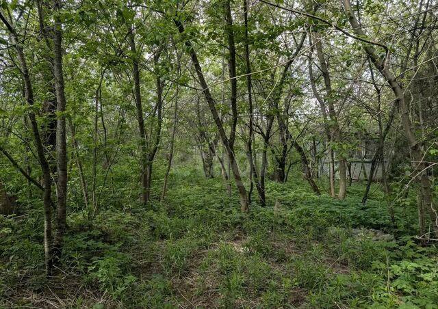 р-н Центральный снт терСтроитель ТУЛАСОВХОЗСТРОЙ 40 фото