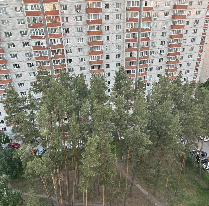 квартира г Воронеж р-н Коминтерновский пр-кт Московский 149 фото 18