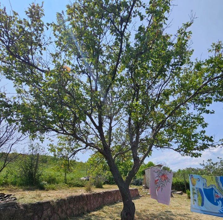 дом г Керчь Створ СТ фото 15
