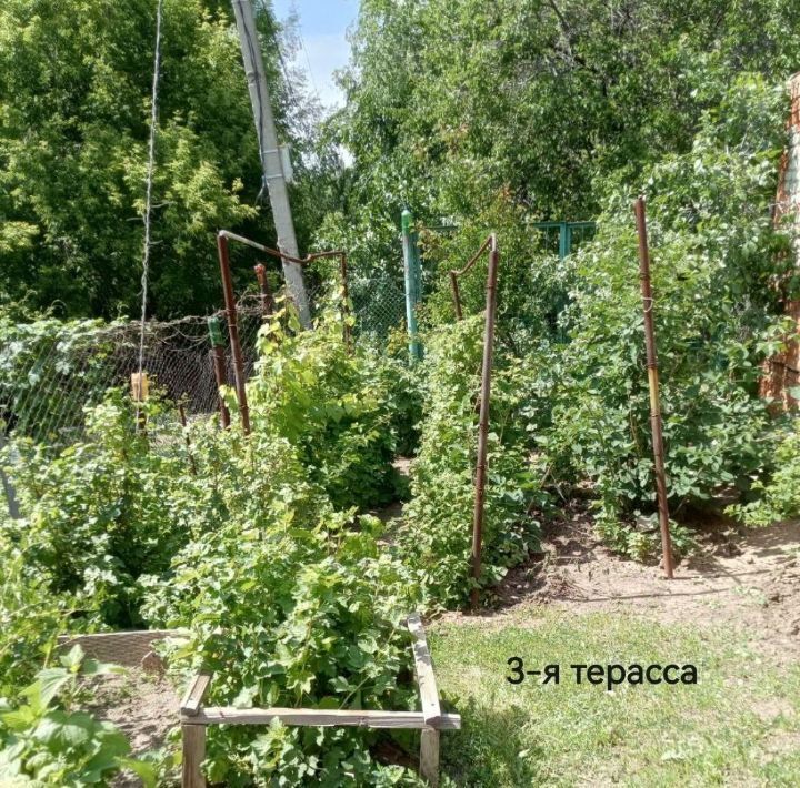 земля г Аткарск снт Березка фото 13