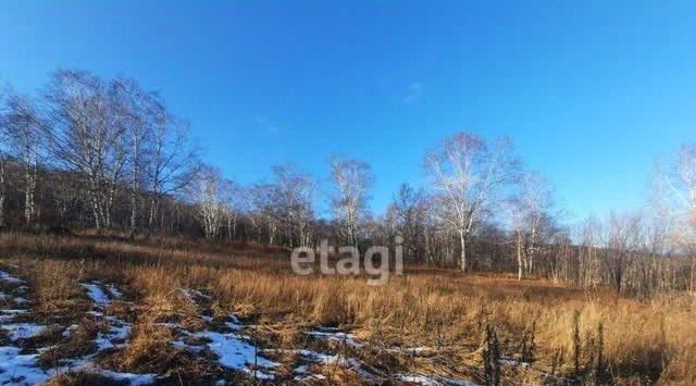 земля р-н Елизовский г Елизово ул Рябиновая фото 4