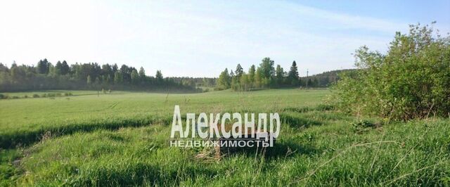 ул Алховская фото