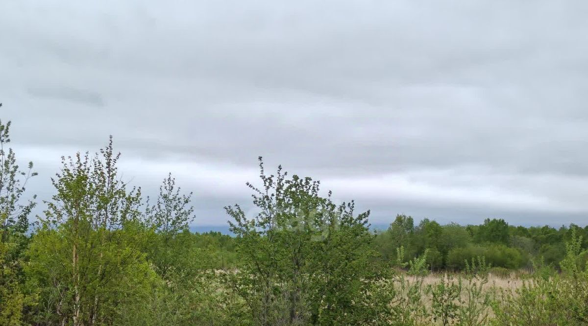 земля р-н Елизовский г Елизово А-401, 28-й км фото 8