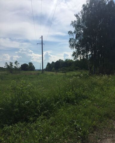 Пениковка, муниципальное образование Белёв фото