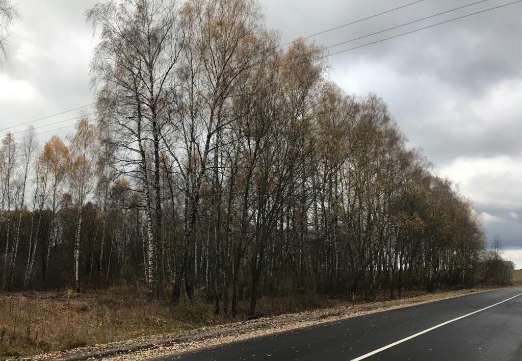 земля р-н Белевский г Белев Пениковка, муниципальное образование Белёв фото 6