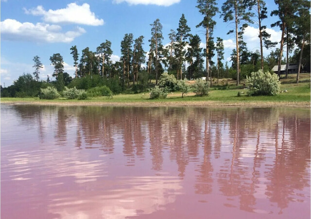 рп Малиновое Озеро ул Центральная 40 Малиновоозёрский поссовет фото