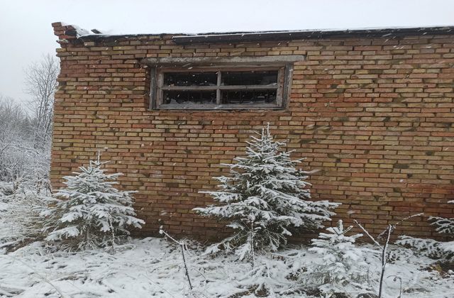 офис г Сосногорск пгт Войвож пер Рабочий 5 муниципальный р-н Сосногорск, муниципальное образование Войвож фото 3