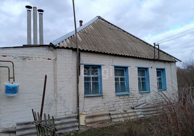 ул Парижанская Должанское сельское поселение, Вейделевка фото
