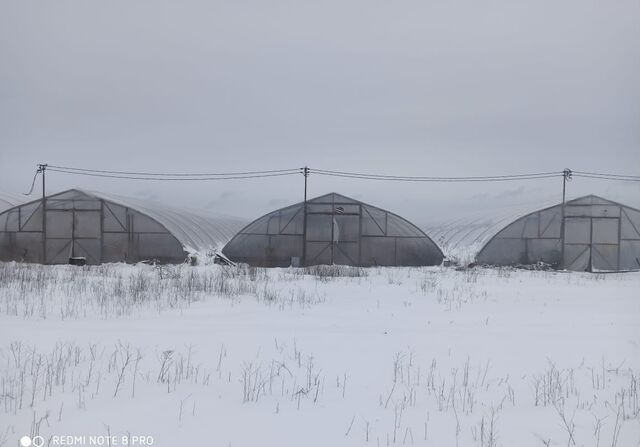 р-н Карасунский фото