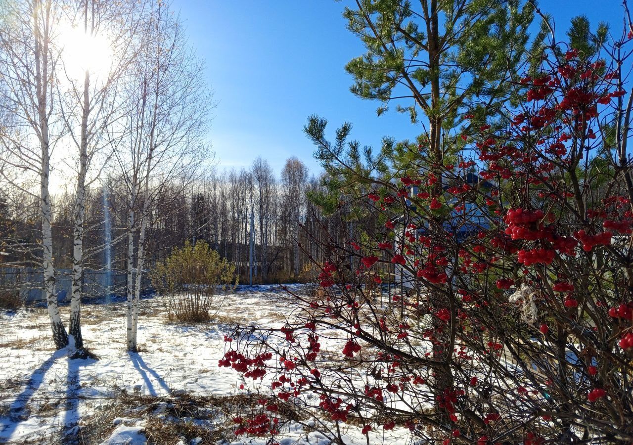 земля г Верхняя Пышма снт Сокол Екатеринбург фото 5