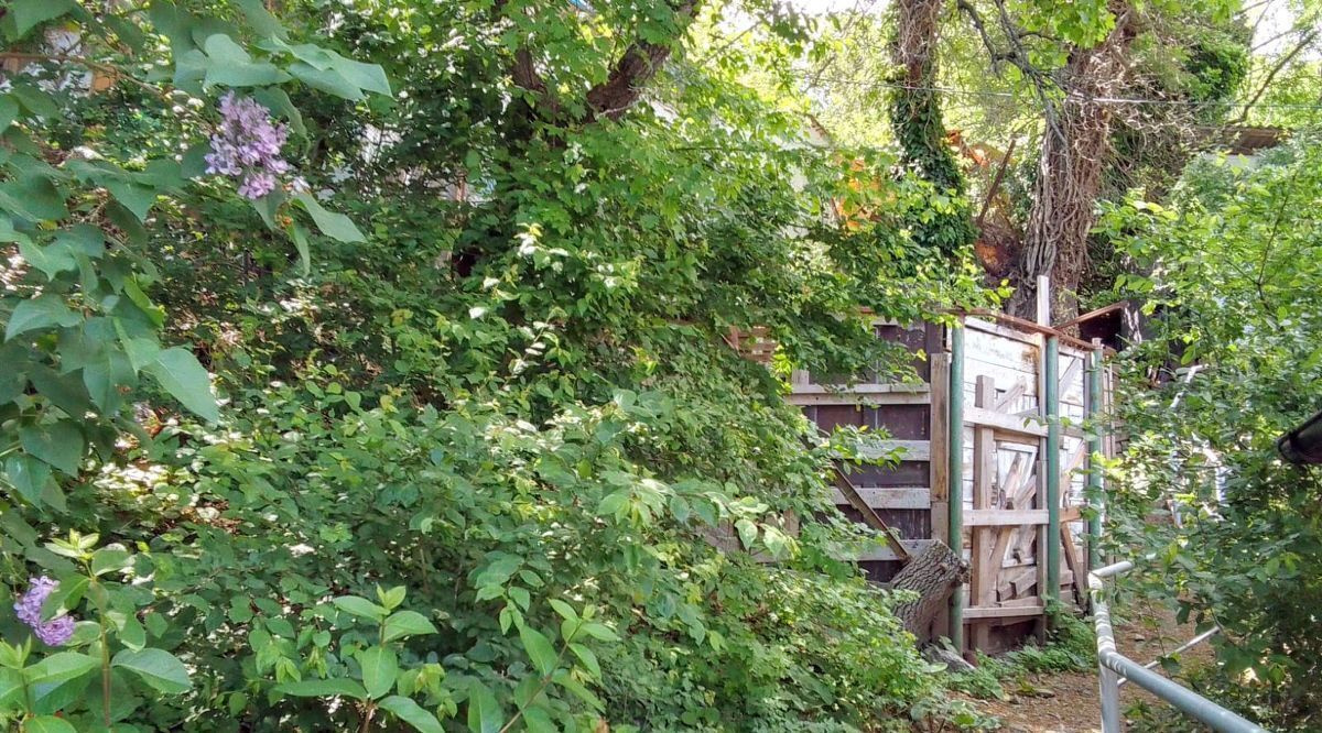 земля г Ялта п Даниловка ул Тенистая фото 8