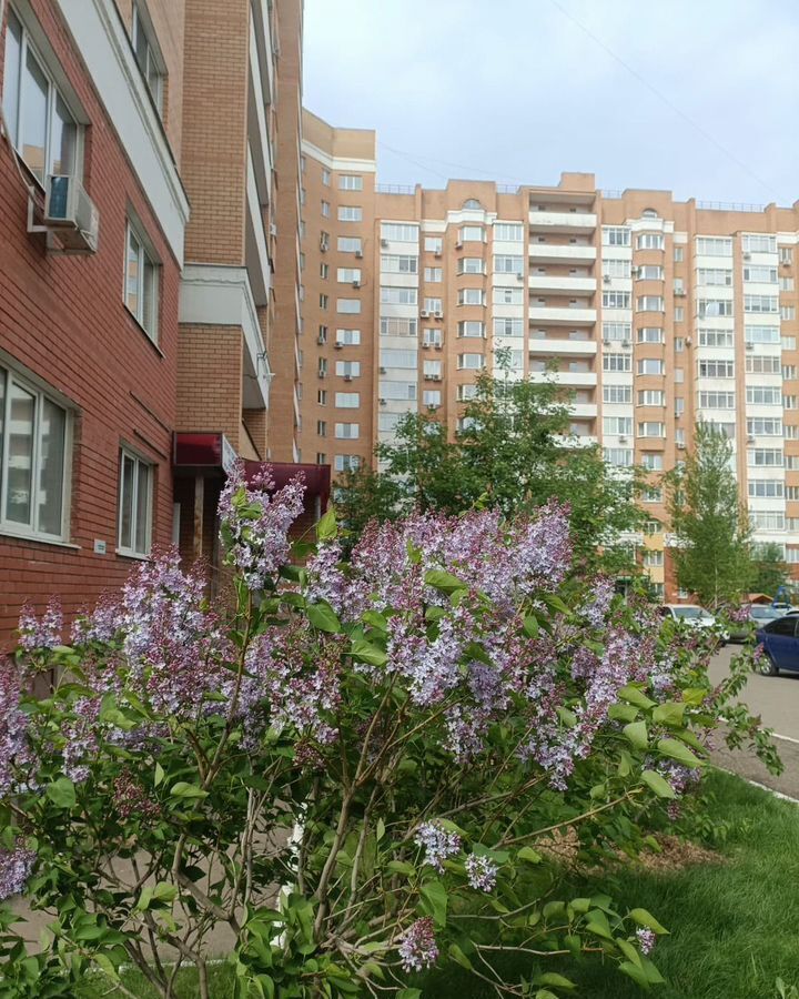 квартира г Оренбург р-н Ленинский пр-кт Гагарина 27/6 фото 21