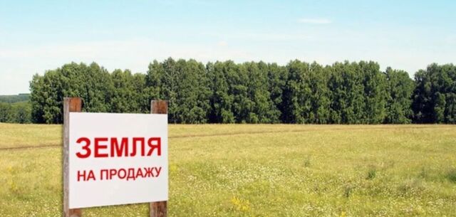 Бишнинское с/пос фото