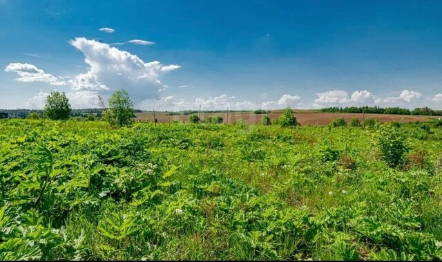 земля ул Добрянская фото