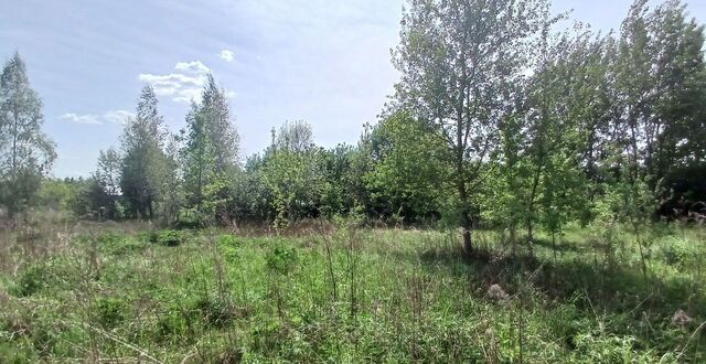 52 км, Большое Буньково, Горьковское шоссе фото