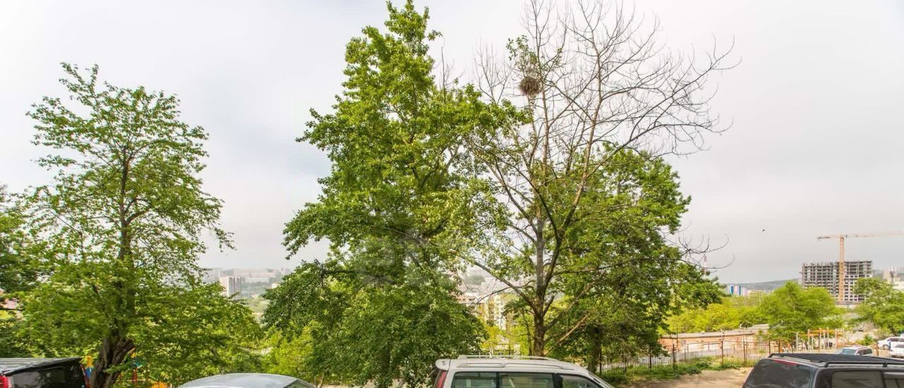 квартира г Владивосток р-н Первомайский ул Гризодубовой 67 фото 22