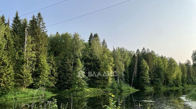 Родник садовые участки фото