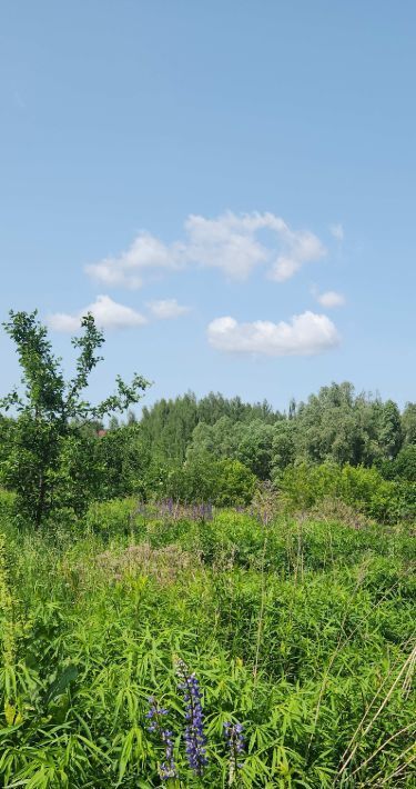 дом г Нижний Новгород Горьковская ул Грушевая 57а фото 9