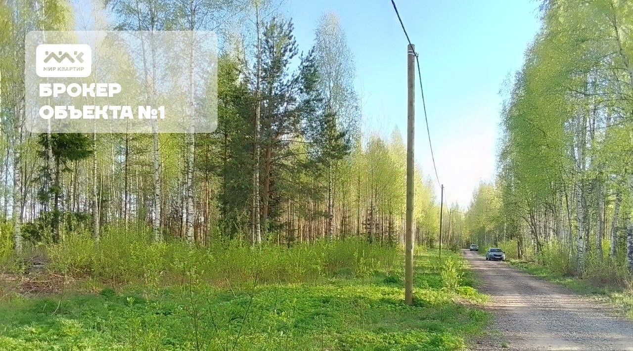 земля р-н Всеволожский г Всеволожск ул Новая Улица Дыбенко фото 4