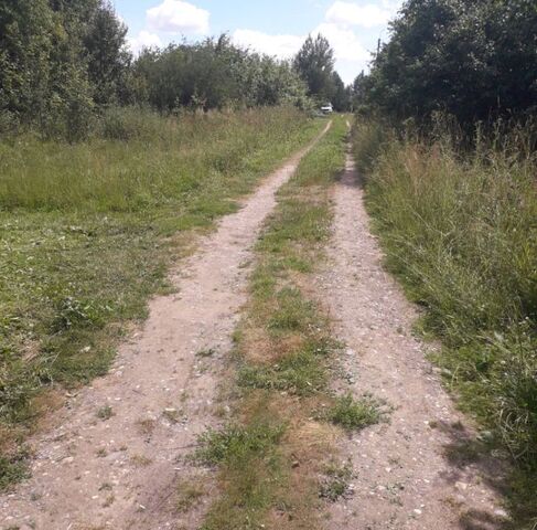 Новоталицкое с/пос фото