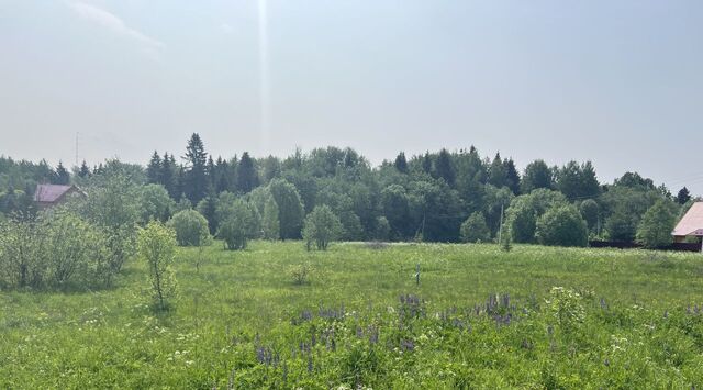 Следневское муниципальное образование, аллея Березовая фото