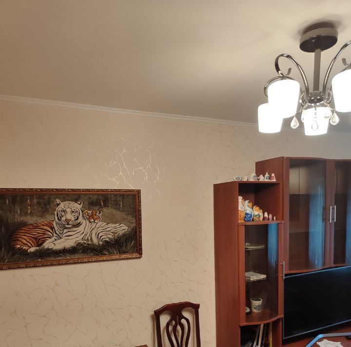 квартира г Подольск ул Индустриальная 27/37 Подольск фото 4