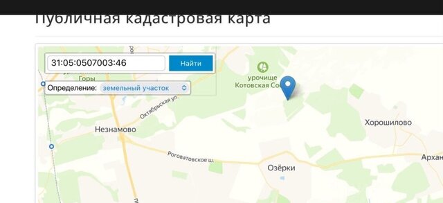 снт Дружба фото