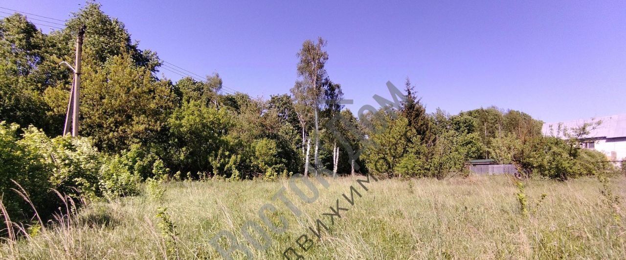 земля г Электросталь д Бабеево фото 2