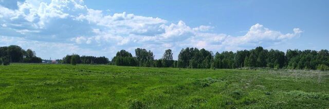 Зоркальцевское с/пос фото