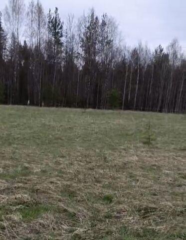 муниципальное образование, Хутор Визябож мест., 10, Додзь фото