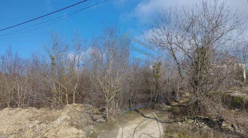 земля г Новороссийск с Абрау-Дюрсо ул Имени Петра Косенко фото 2