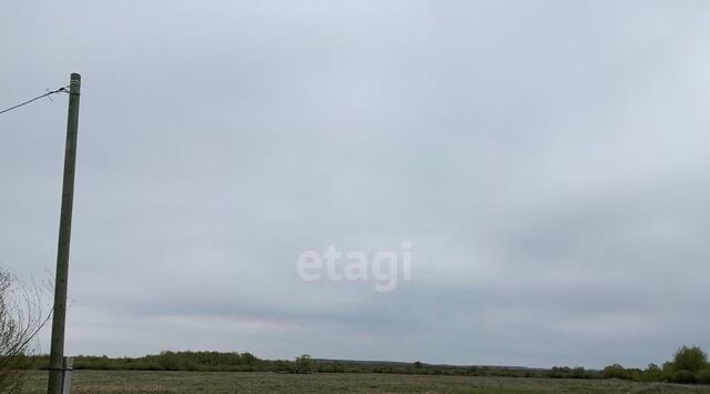 ул Соболева фото