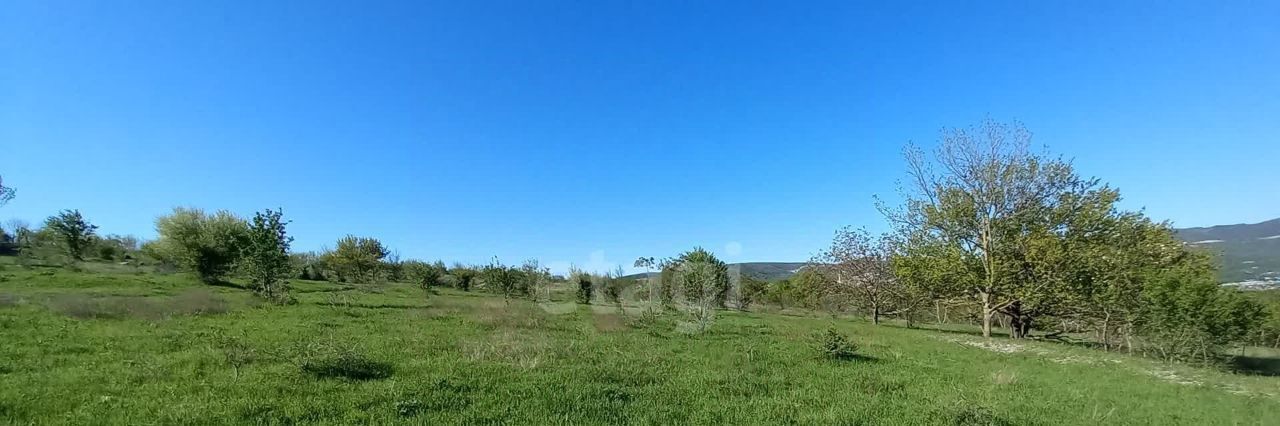 земля г Новороссийск с Владимировка снт Заря фото 5