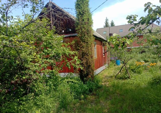 направление Горьковское (восток) ш Горьковское 59 км, муниципальное образование Филипповское, Владимирская обл., Киржачский р-н, Электрогорск, СНТ Мечта фото