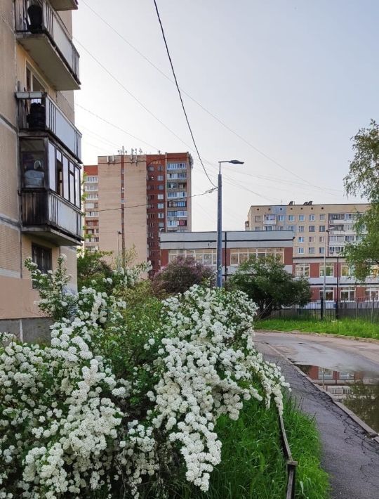 квартира г Колпино ул Красных Партизан 14 Шушары фото 16