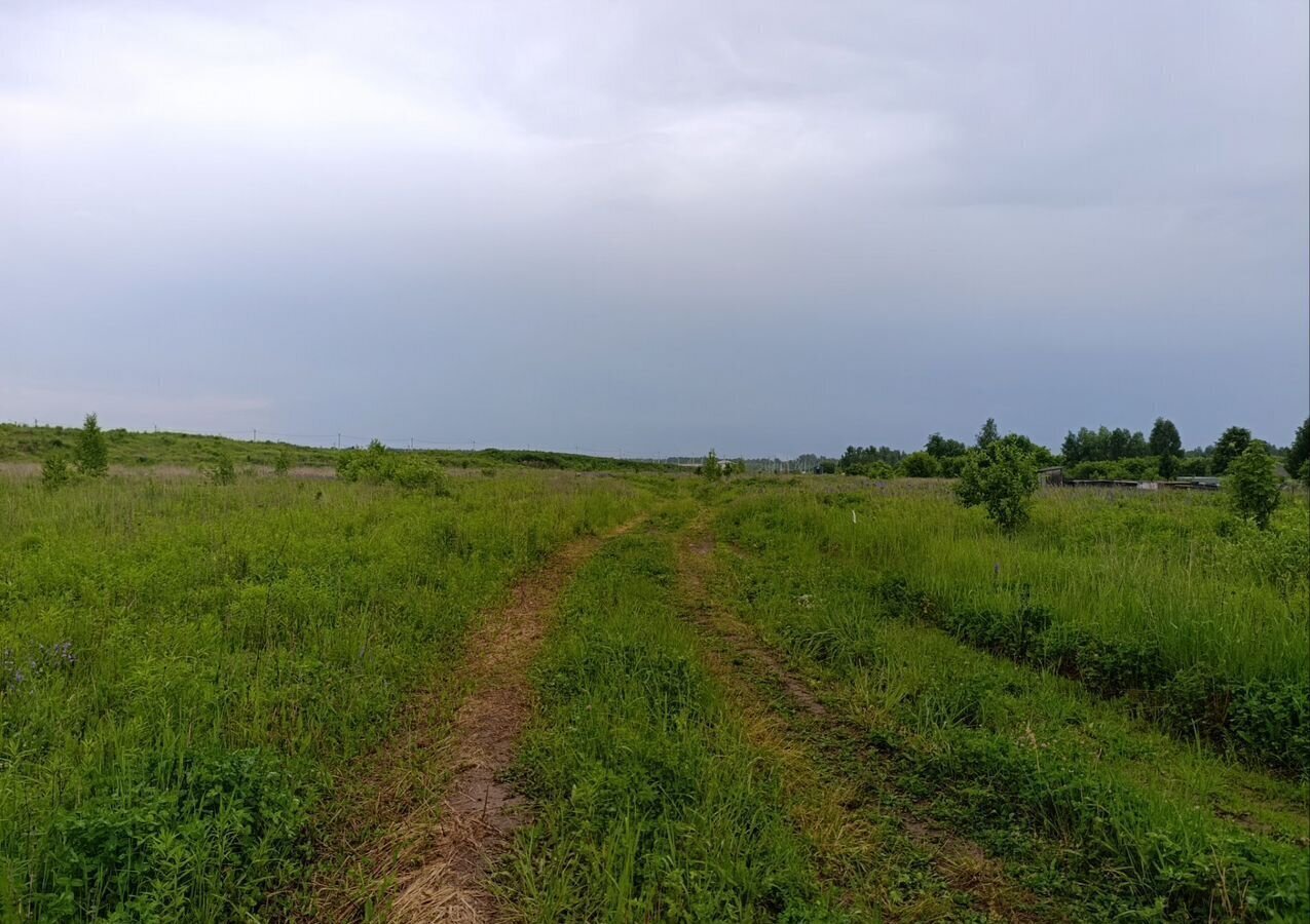 земля г Бор мкр-н Везломская слобода, Никольская ул фото 1