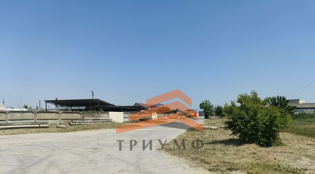 туп Черноморский фото