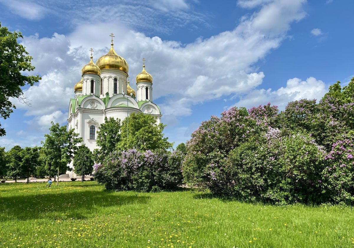 земля г Пушкин Новосёлки р-н Пушкинский тер Сергиево 14 км, Красносельское шоссе фото 17
