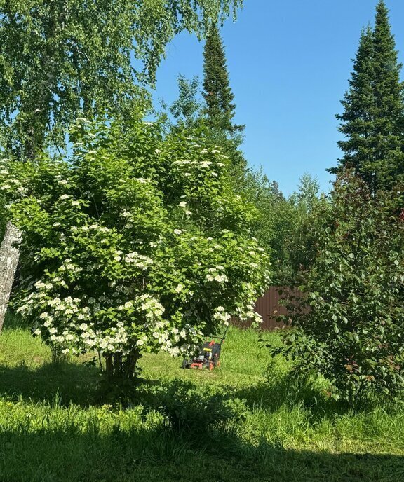 земля г Томск п Родионово ул Полянка р-н Советский Родионово фото 1