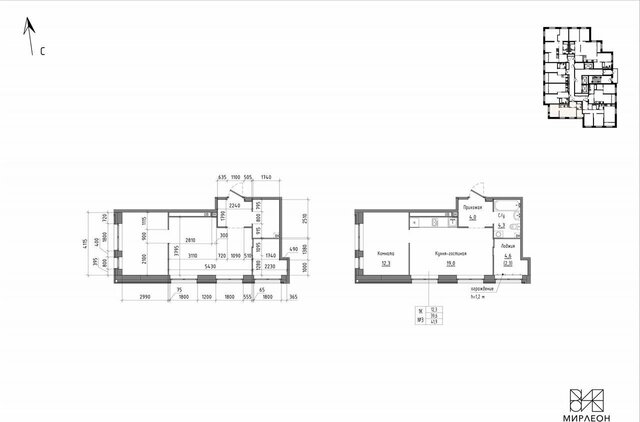 р-н Чкаловский Ботаническая ЖК "Мирлеон" ул. Агрономическая, д. 55 фото