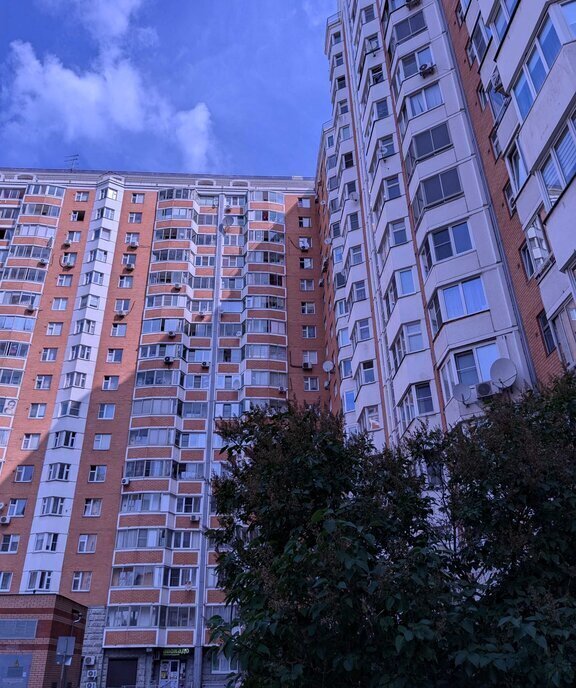 квартира г Балашиха мкр Янтарный ул Кольцевая 8 микрорайон «Щитниково Янтарный» Щёлковская фото 2