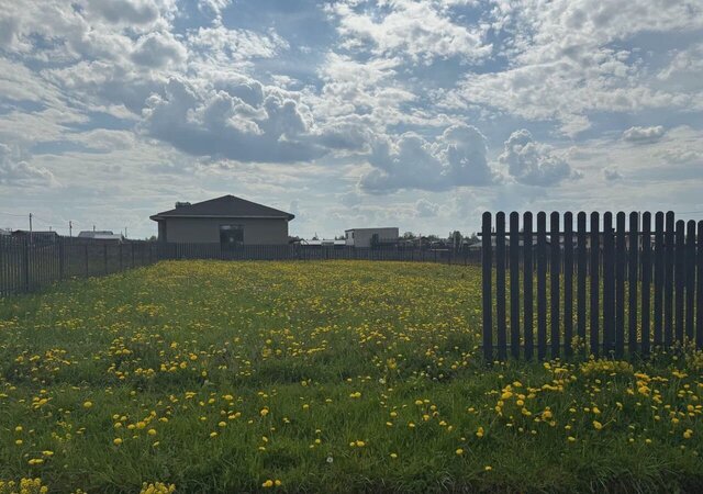 с Ильинское 42 км, городской округ Домодедово, Новокаширское шоссе фото