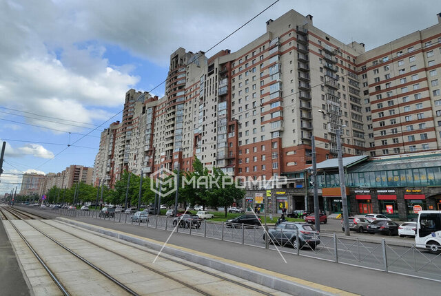 метро Проспект Просвещения пр-кт Просвещения 33к/1 округ Сергиевское фото